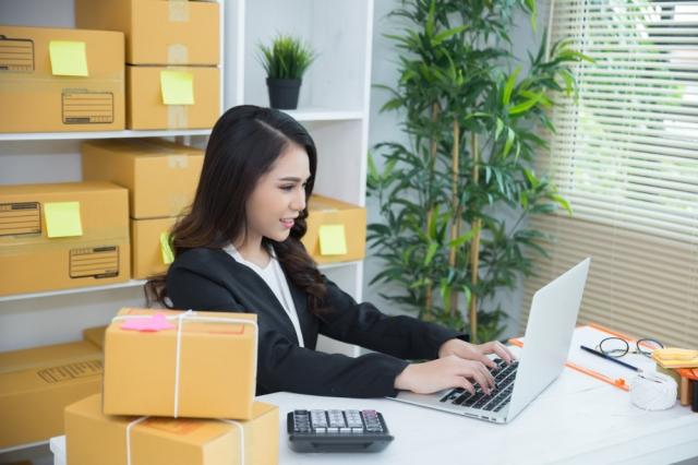 Amazon FBA Financial Model: Building a Profitable Online Business cover picture