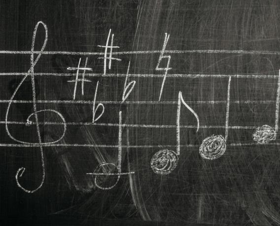 Step-by-Step Online Guitar Lessons for Beginners That Actually Work! cover picture