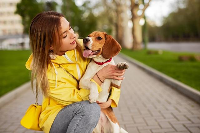 Tips for Keeping Your Canine Healthy cover picture