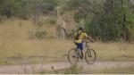 Best Gorilla Trekking and Safari Holidays in Uganda: cover picture