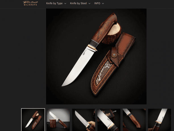 The Complete Guide to Fixed Blade Knives: Function, Design, and Practical Uses cover picture