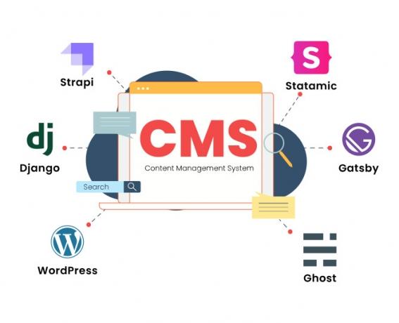Choosing the Right Database for Your CMS: SQL vs. NoSQL Comparison cover picture