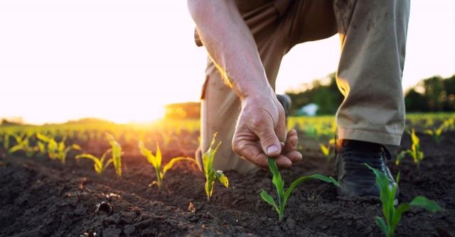 Top Benefits of Being an Agricultural Land Owner cover picture