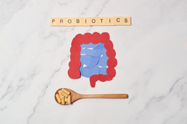 Understanding Akkermansia: The Revolutionary Probiotic Transforming Digestive Health cover picture