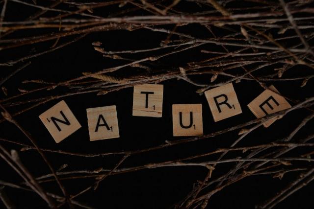 Natural Health Products: What To Know Before You Buy cover picture