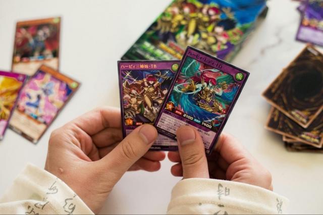 Collecting Across Cultures: How Fan Interests Reflect Identity and Connection cover picture