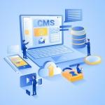 Custom Magento Web Development: Taking E-commerce to New Heights cover picture