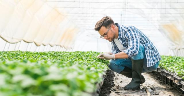 Eco-Friendly Farming Practices That Are Changing the Game cover picture