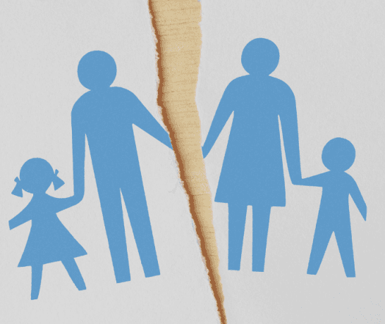 Exploring the Emotional Journey of Divorce for Wife, Husband, and Children cover picture