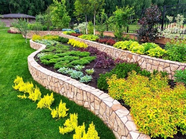 How Much Does Lawn Care Cost in Nashville, TN? A Comprehensive Guide for 2025 cover picture