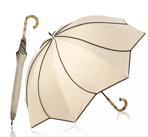 Parasol: The Sun’s Silent Companion — Its Past, Present, and Promise cover picture