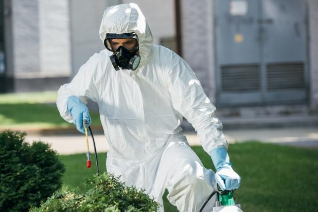 Why Commercial Pest Control Is a Must for Modern Businesses cover picture