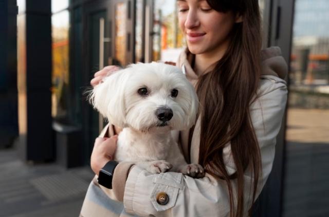 Bonding Beyond Puppy Love: Strengthening Your Connection with Your Growing Pup cover picture