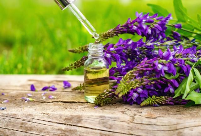 The Relaxation Guide to Using Lavender Oil: Ideas, Diffuser Blends & DIY cover picture