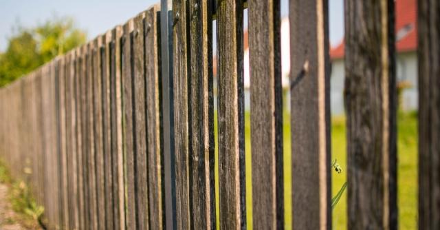 Tips for Improving Privacy in Your Backyard cover picture