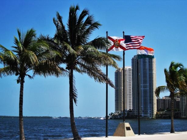 Top 8 Cities to Consider When Relocating to Florida cover picture