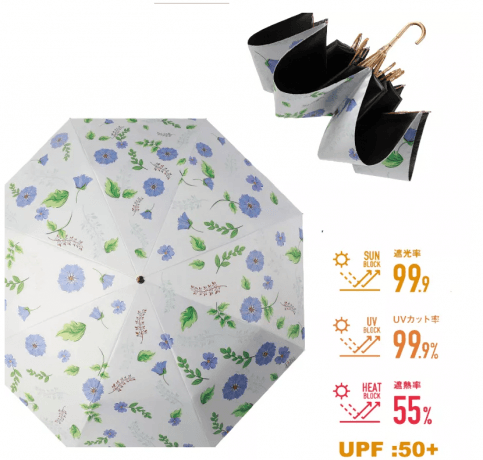Parasol: The Timeless Shield Against Sun and Rain cover picture