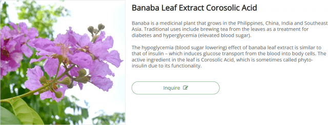 Unlocking the Power of Banaba Leaf Extract: A Modern Guide to Its Benefits, Science, and Real-World Uses cover picture