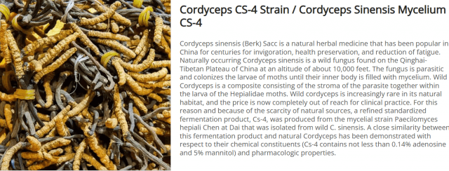 Cordyceps Extract: A Complete Guide to Benefits, Applications, and Modern Nutraceutical Innovation cover picture