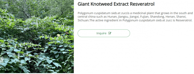 Giant Knotweed Extract: A Comprehensive Guide to Its Benefits, Applications, and Market Value cover picture