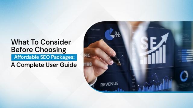 What To Consider Before Choosing Affordable SEO Packages: A Complete User Guide cover picture