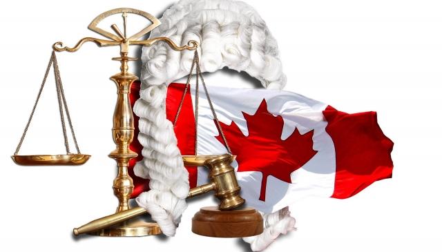 Why Consulting a Calgary Catastrophic Injury Lawyer Is Crucial for Your Case cover picture