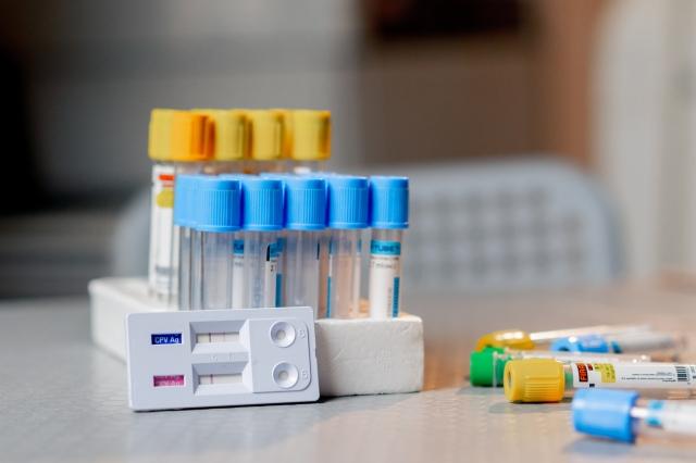 Health at Your Fingertips: The Benefits of Ordering Home Lab Tests Online cover picture