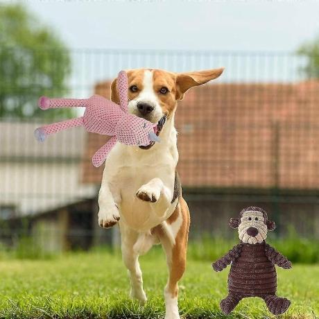 Hundespielzeug große Hunde: Worauf Sie beim Kauf achten sollten cover picture