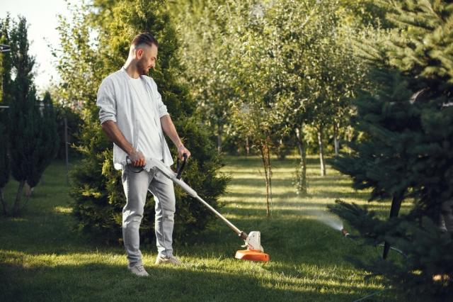 Exploring Essential Factors to Consider When Using a Local Lawn Center cover picture