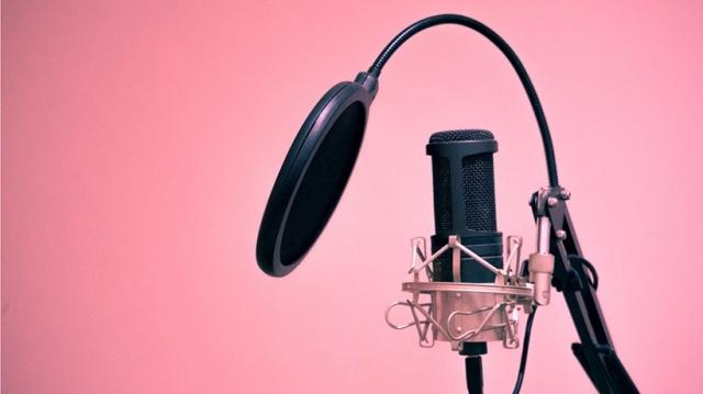 Why Hire a Professional Voice Actor for Your Business? cover picture