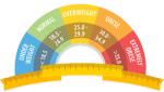 Body Mass Index Online Calculator cover picture