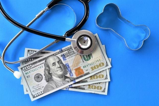 How to Choose the Right Pet Insurance Plan for Your Needs cover picture