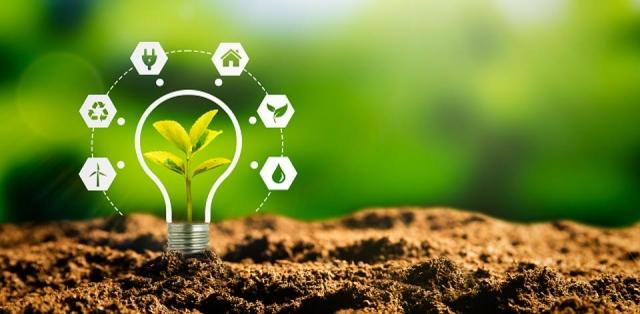 How Evolooption's Sustainable Packaging Can Help Save the Planet cover picture