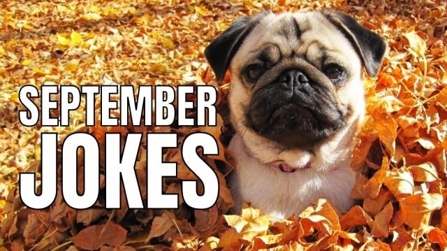 September Jokes: Adding Laughter to the Autumn Breeze cover picture