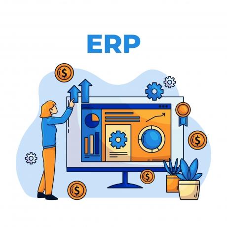 Integrating Custom ERPs: Challenges and Strategies for Connecting Custom Systems cover picture