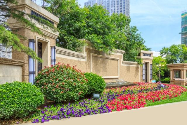 Using Plants to Divide Spaces Inside and Out cover picture