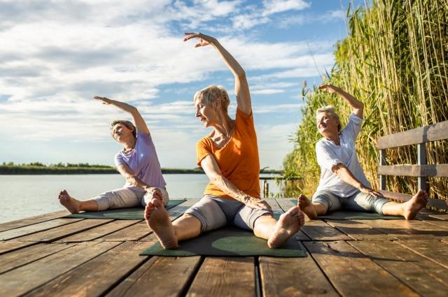 The Top Services for Keeping Seniors Healthy cover picture