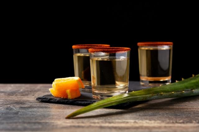Everything you need to know about mezcal cover picture