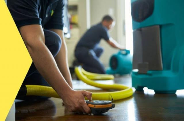 Don't Panic! Five Steps to Follow After You Discover Water Damage cover picture