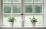 The Benefits of Choosing Energy-Efficient Glass cover picture
