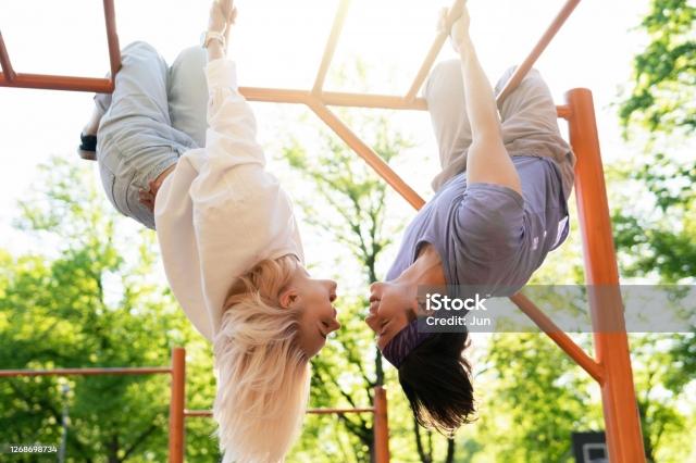 All You Need To Know About Jungle Gyms cover picture