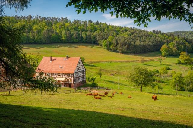 How to Secure Your Rural Property cover picture