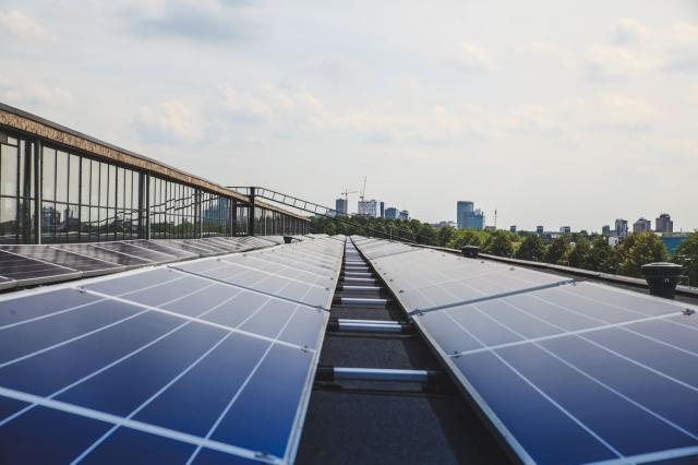 Texas Solar Panels - A Sustainable Solution for Energy Independence cover picture