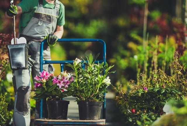 How Can Landscaping Companies Benefit from Local SEO? cover picture