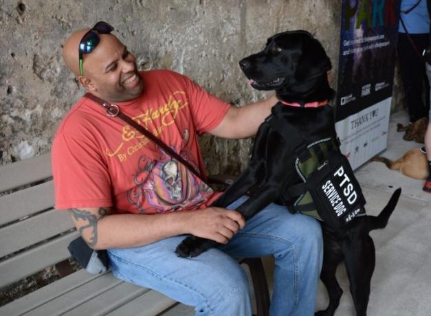 Can a vacation rental deny a service dog? cover picture