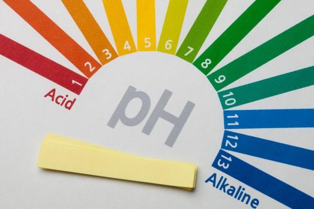 Is Alkaline Water Worth It? An Expert Analysis cover picture