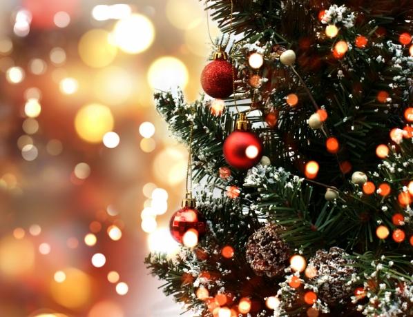 Planning a Christmas Party? Top Tips to Make it a Hit cover picture