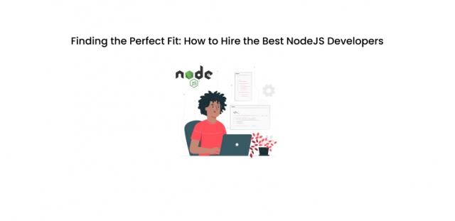 Finding the Perfect Fit: How to Hire the Best NodeJS Developers cover picture