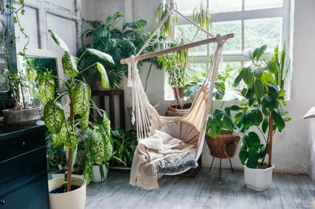 How Indoor Plants Can Help Improve Mood And Fight Depression cover picture
