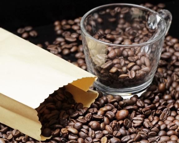 The Guatemala Nahuala Experience: Ampersand Coffee Unveiled cover picture